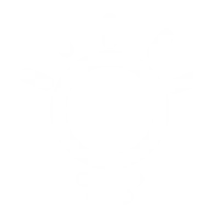 GOJE Spirit