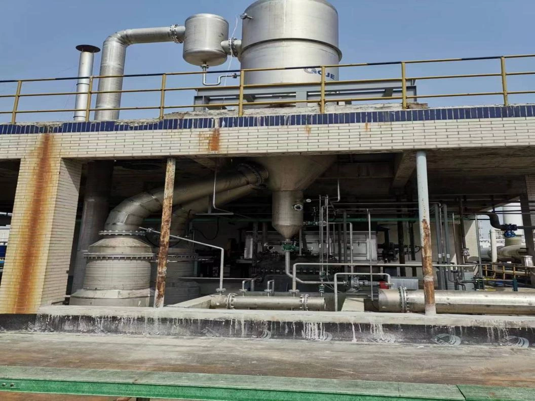 Analysis of the Ammonium Sulfate Evaporation and Crystallization Process