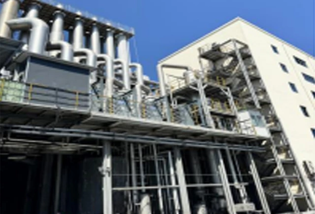 Shandong Pharmaceutical Group