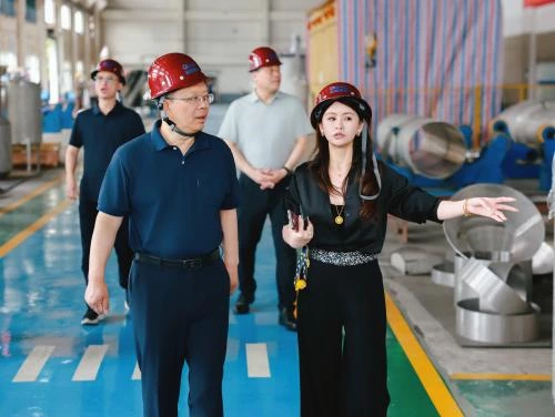 Song Weixing, Director of the Gaochun District People's Congress Standing Committee, Visits Gaojie Group for Research