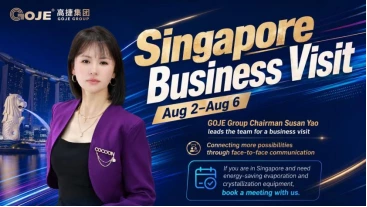 Singapore Business Visit